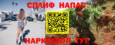 дмт Тула