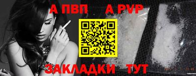 дмт Тула