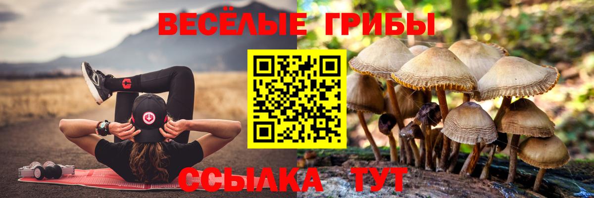 Псилоцибиновые грибы мухоморы Нижнекамск